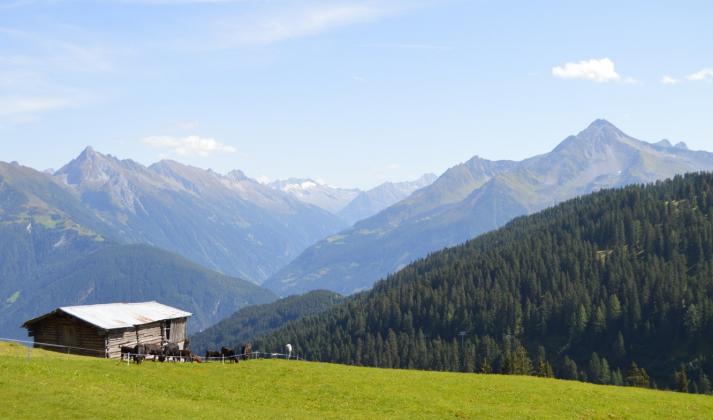 Impressionen der SCI Berghütte