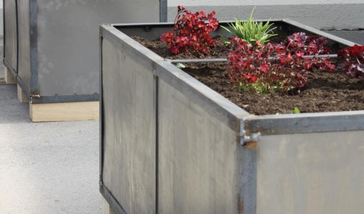 Pflanztröge vor dem Sportheim 